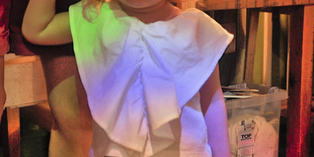 2ª FEIRA CULTURAL-059