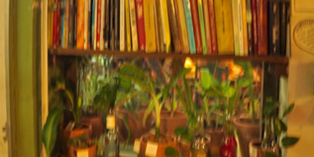 2ª FEIRA CULTURAL-071